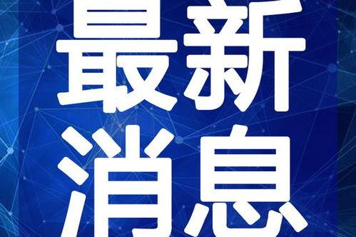 驴爸爆料驴姐视频大全最新,驴姐视频大全精彩瞬间大汇总  第2张
