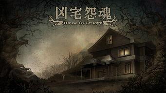 怨魂在线观看,在线惊悚之旅，揭秘幽冥之谜  第3张